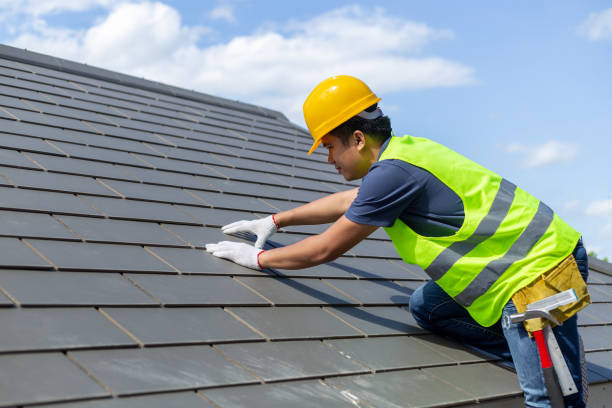 Best Roof Moss and Algae Removal  in Beulah, ND