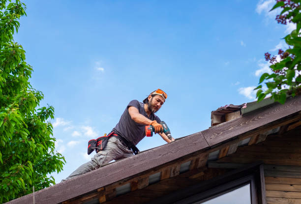 Best Storm Damage Roof Repair  in Beulah, ND