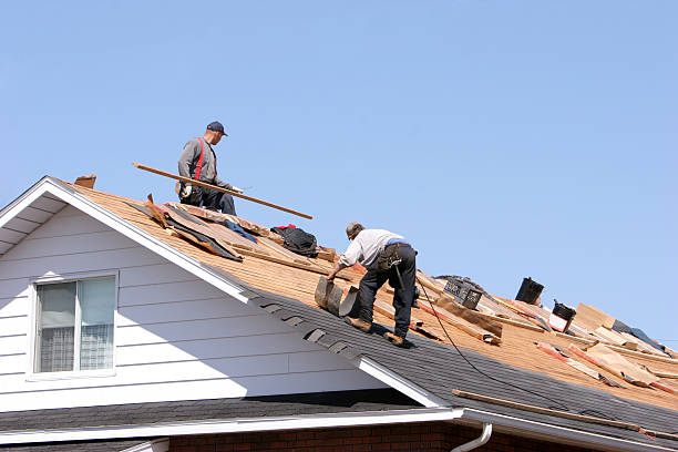 Best Gutter Installation and Repair  in Beulah, ND